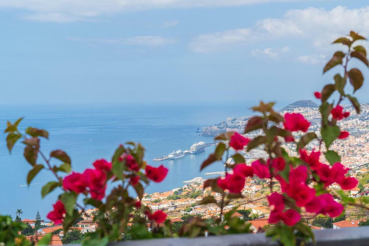 Casa Fatima Villa Funchal  Eksteriør bilde